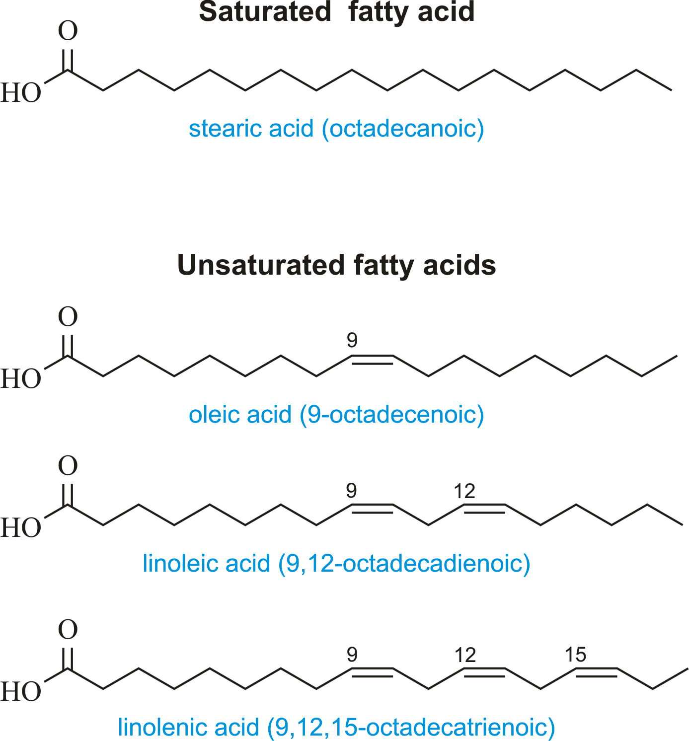 Fatty Acid Chart